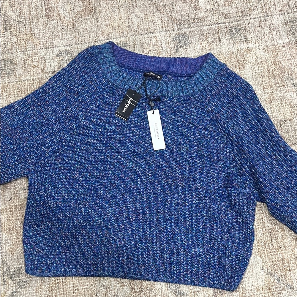 Express Blue and Purple Crew Neck Sweater